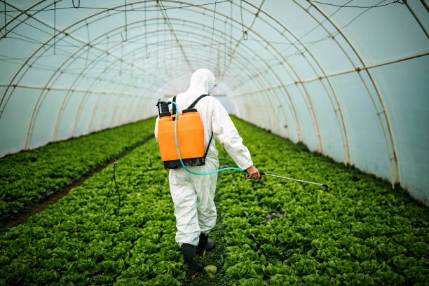 Best Residential Pest Control  in Bradenton, FL