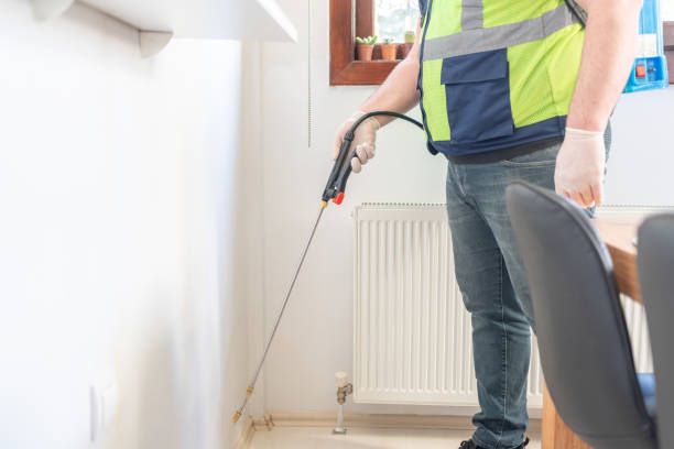 Best Wasp Removal Services  in Bradenton, FL