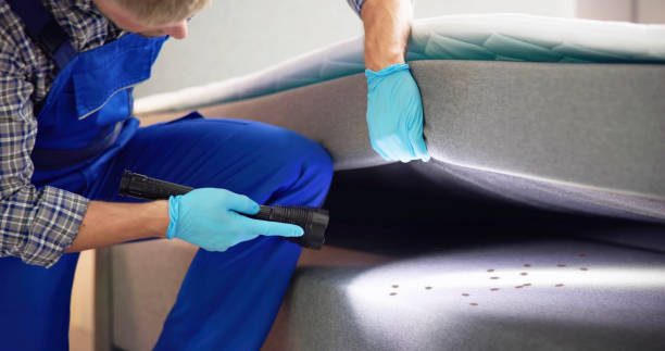 Best Exterminator Services  in Bradenton, FL