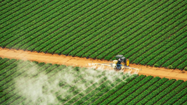 Best Mosquito Control Services  in Bradenton, FL