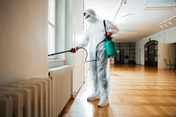 Best Local Pest Control Services  in Bradenton, FL