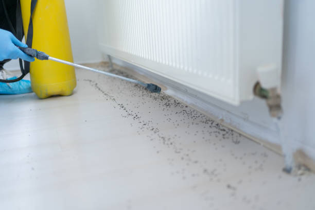Best Best Pest Control Companies  in Bradenton, FL
